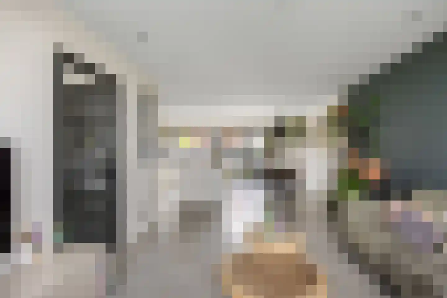 Sânleansterdyk 14 Reahûs thumbnail 6