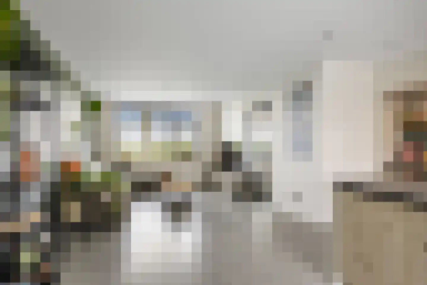 Sânleansterdyk 14 Reahûs thumbnail 7