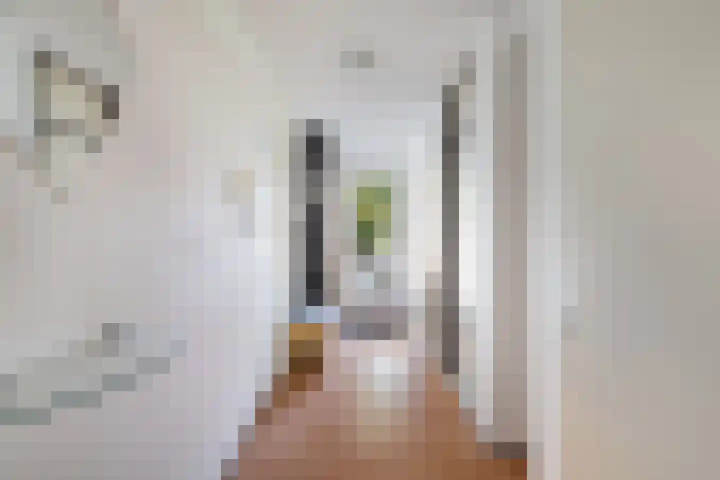 Sanne van Havelteplein 10 Zoetermeer thumbnail 21