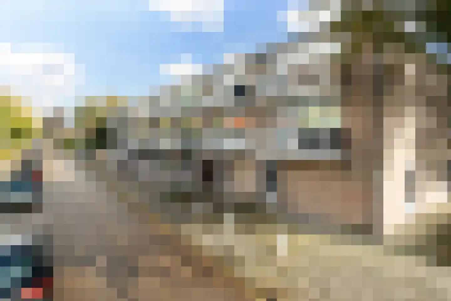 Sanne van Havelteplein 10 Zoetermeer thumbnail 30
