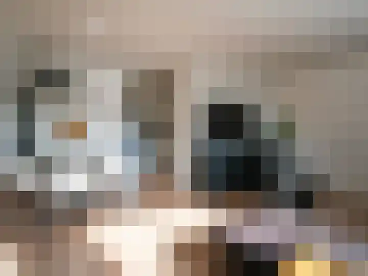 Sanne van Havelteplein 24 Zoetermeer thumbnail 11