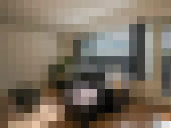 Sanne van Havelteplein 24 Zoetermeer thumbnail 14