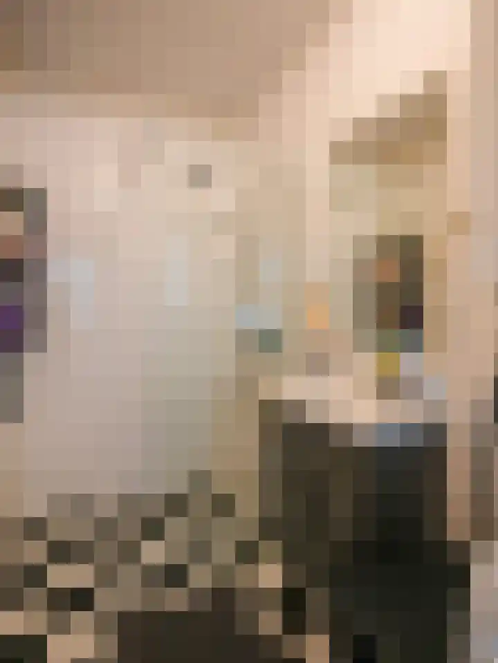 Sanne van Havelteplein 24 Zoetermeer thumbnail 20