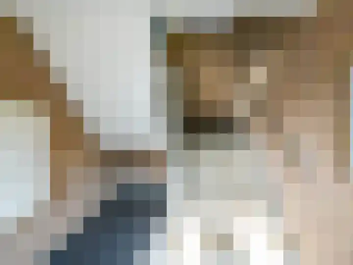 Sanne van Havelteplein 24 Zoetermeer thumbnail 25