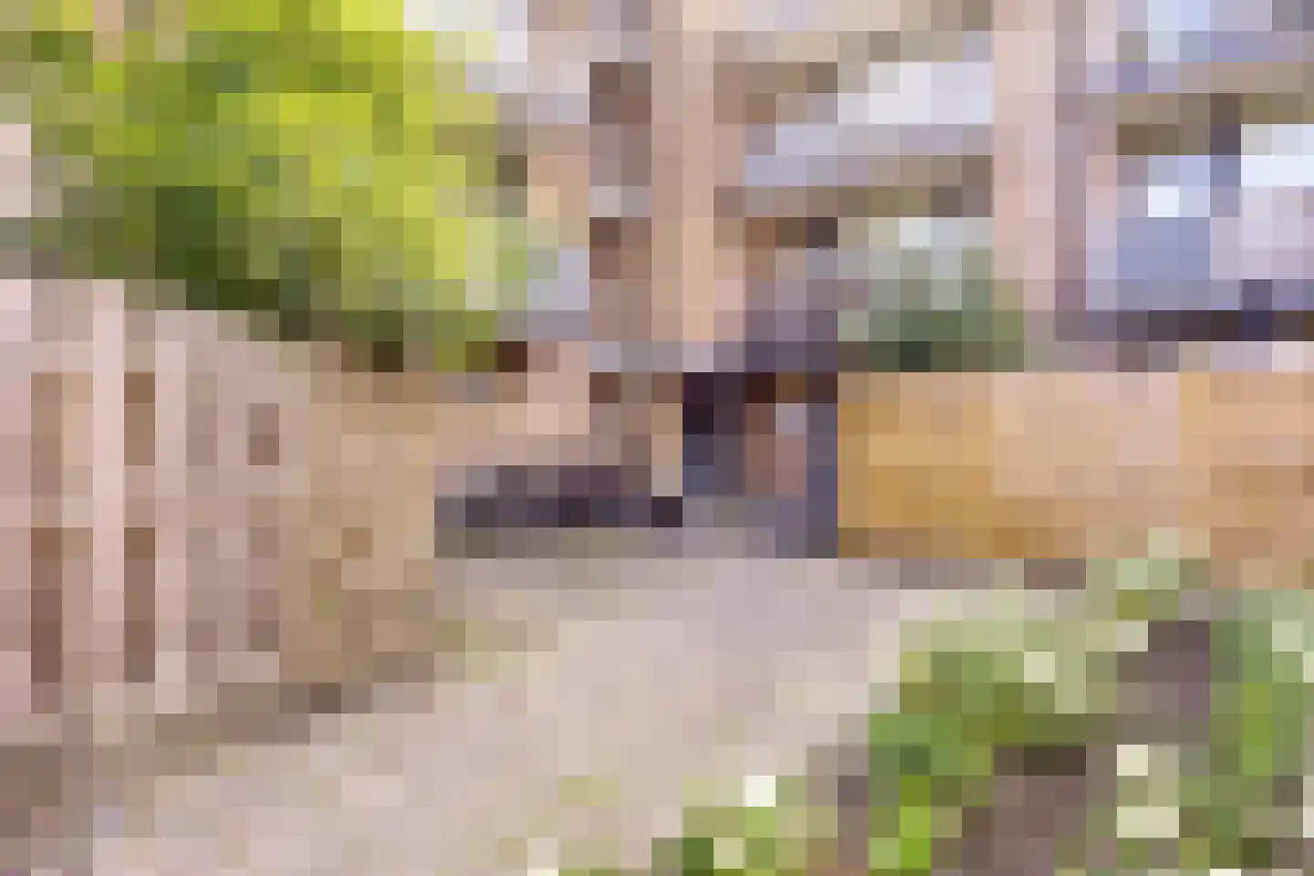 Sanne van Havelteplein 42 Zoetermeer thumbnail 18