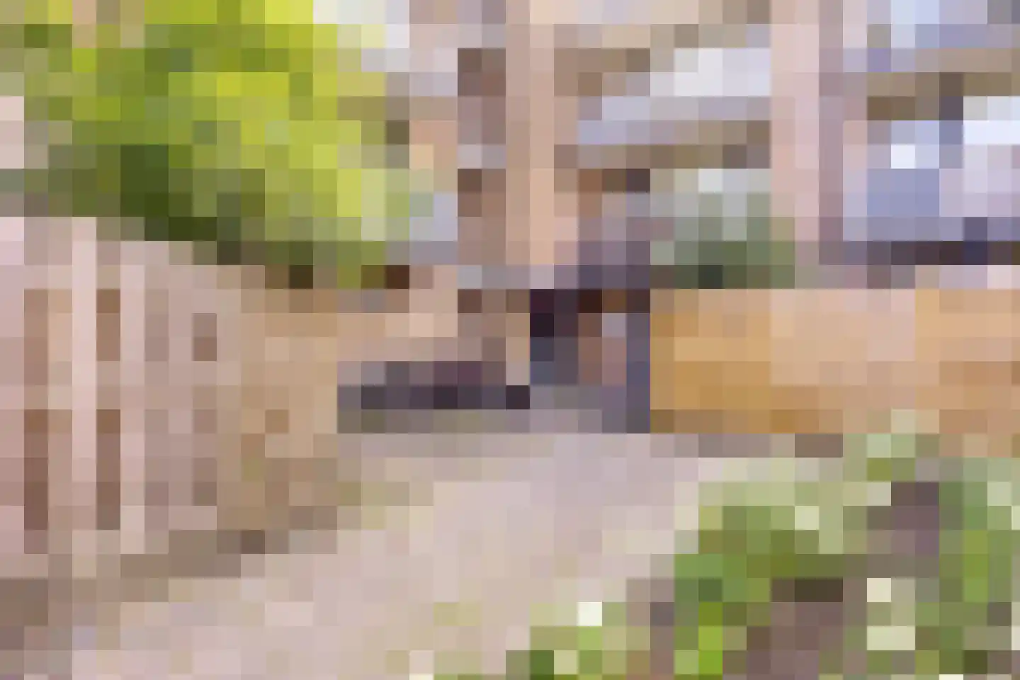 Sanne van Havelteplein 42 Zoetermeer thumbnail 18