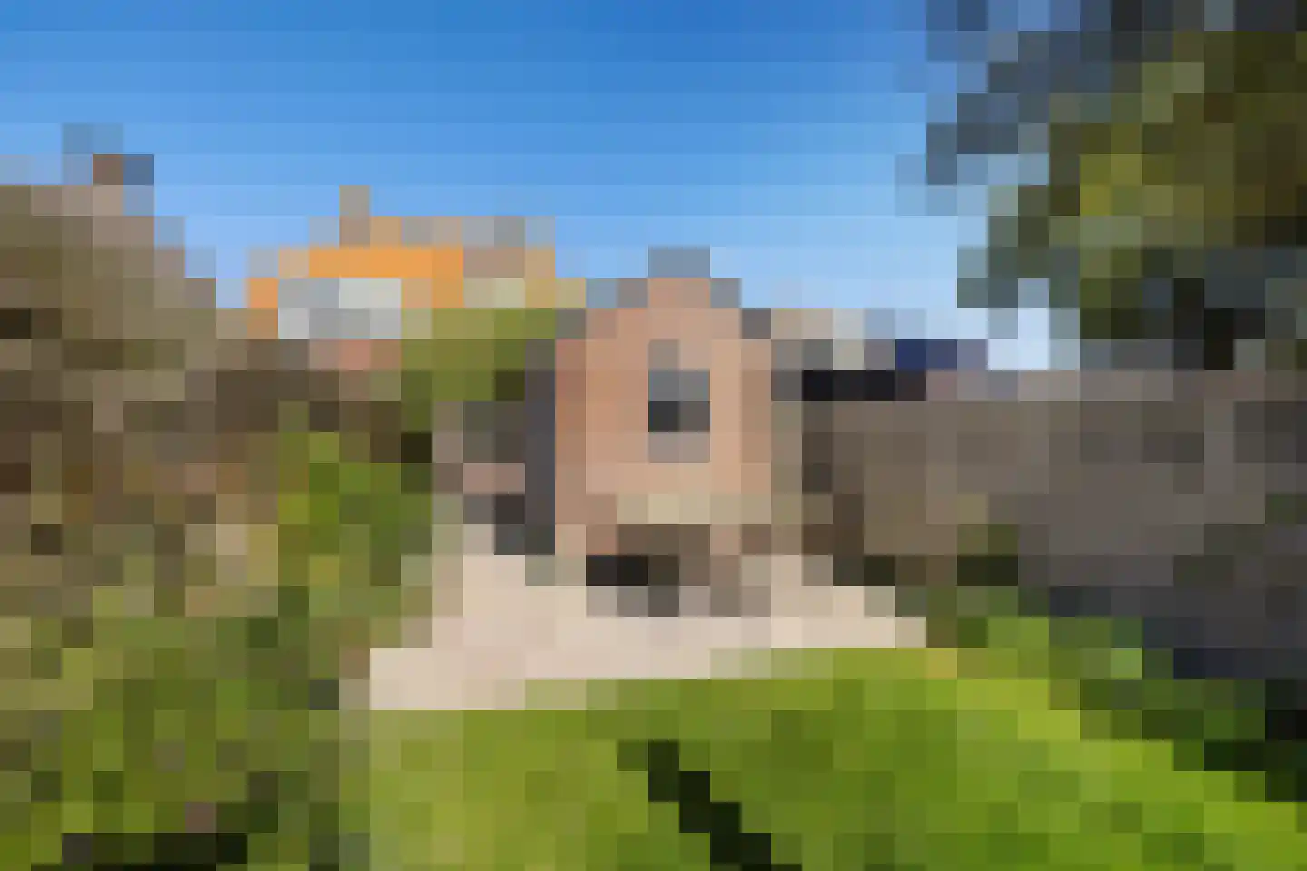 Sânpaed 16 Weidum thumbnail 10