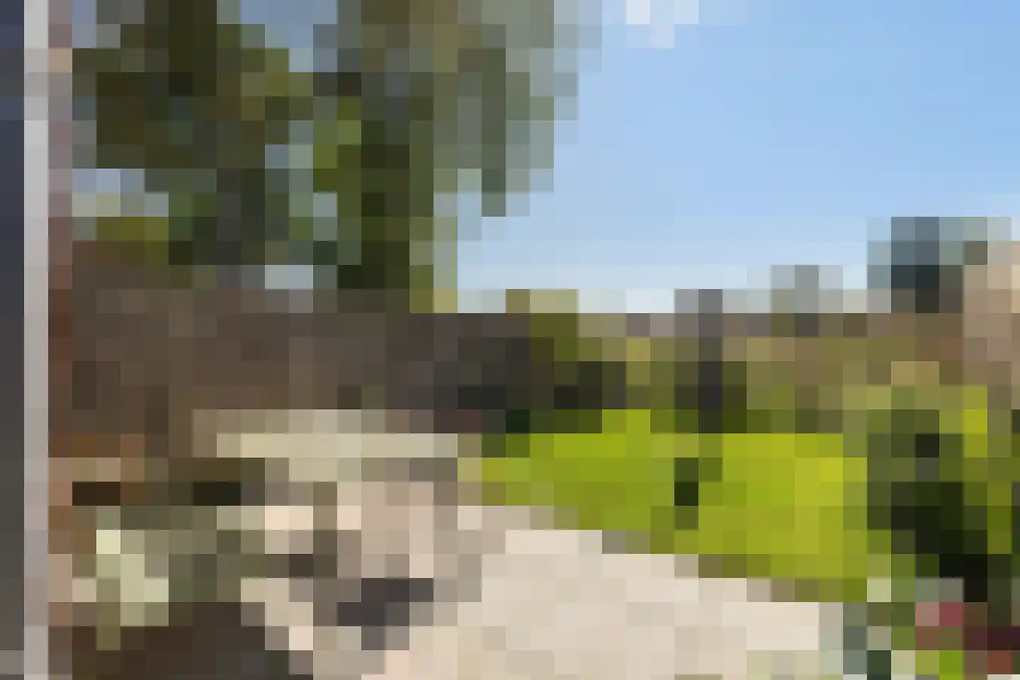 Sânpaed 16 Weidum thumbnail 11