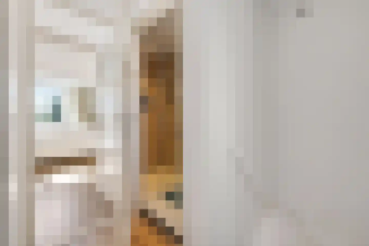 Sânpaed 16 Weidum thumbnail 22