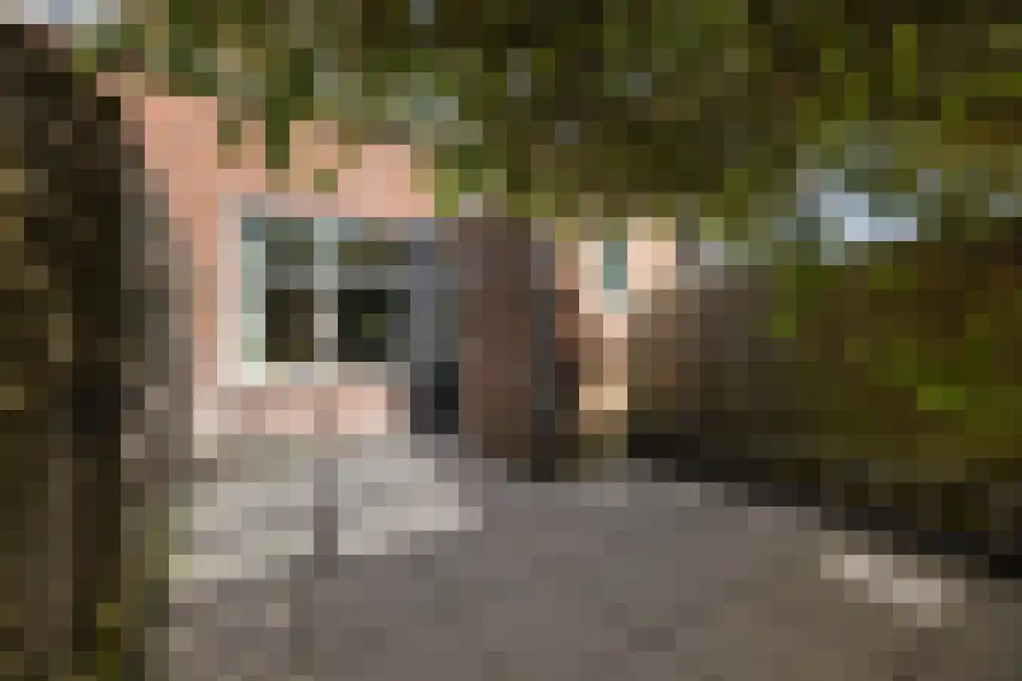 Sânpaed 16 Weidum thumbnail 32