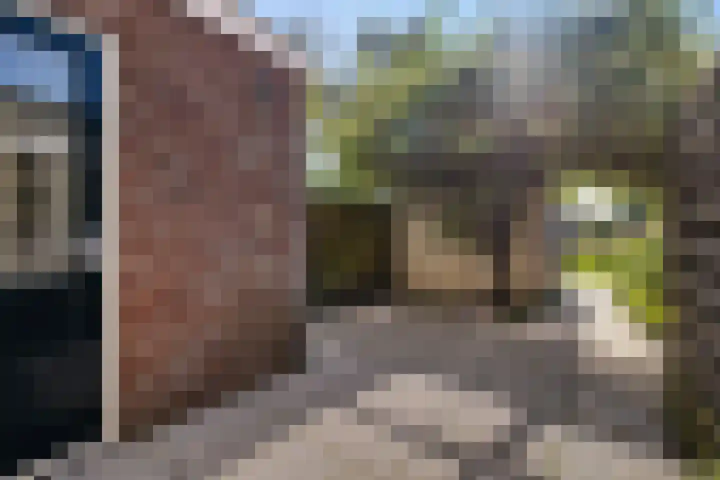 Sânpaed 16 Weidum thumbnail 34