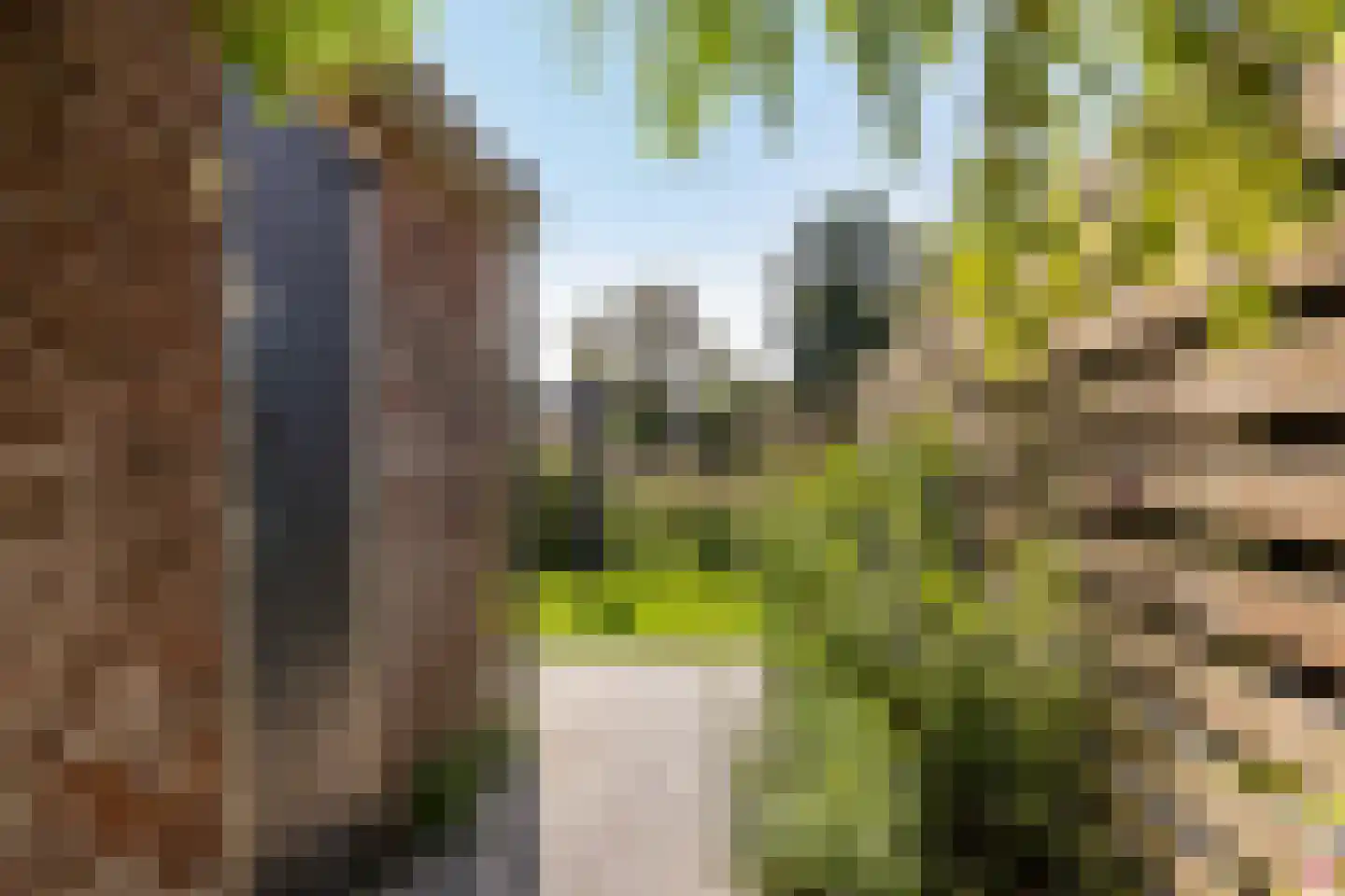 Sânpaed 16 Weidum thumbnail 36