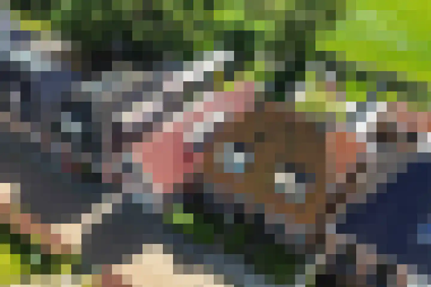 Sânpaed 16 Weidum thumbnail 39