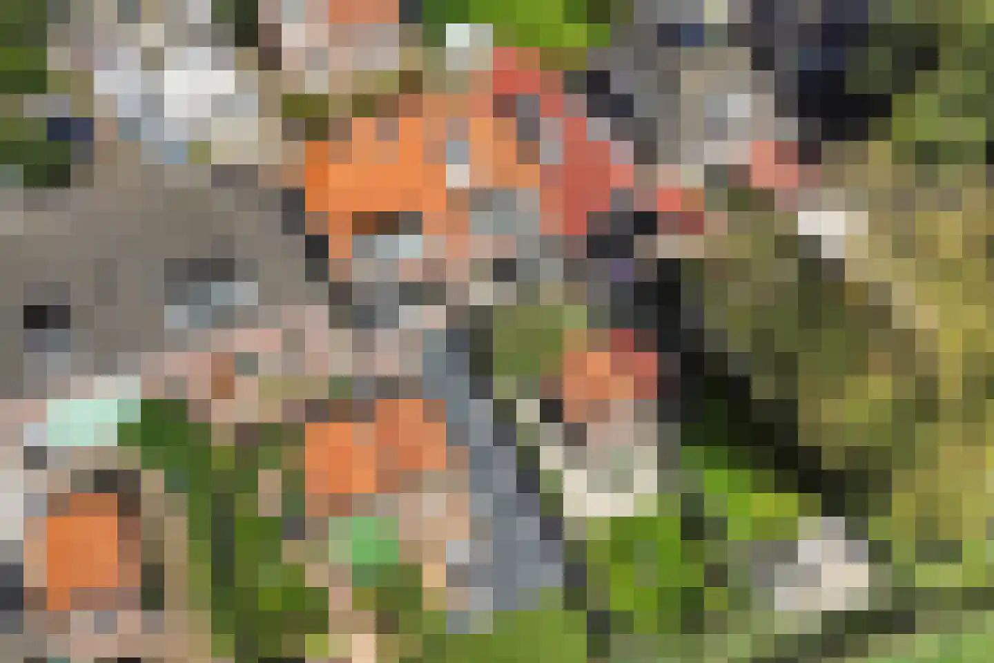 Sânpaed 16 Weidum thumbnail 45