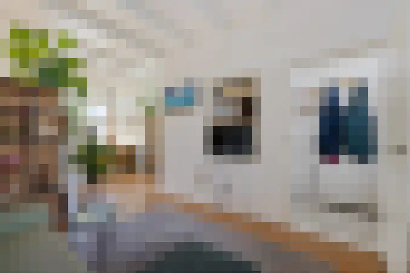 Sânpaed 16 Weidum thumbnail 6