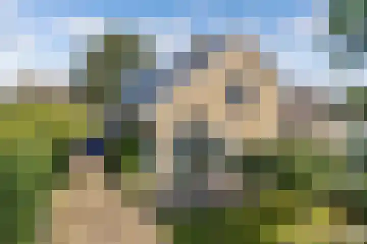 Sânpaed 3 Weidum