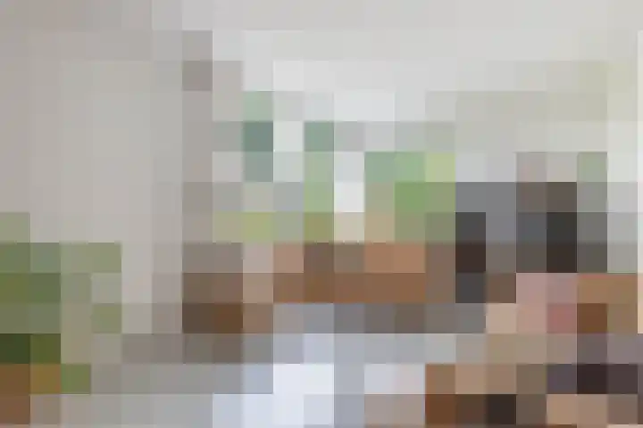 Sânpaed 3 Weidum thumbnail 10