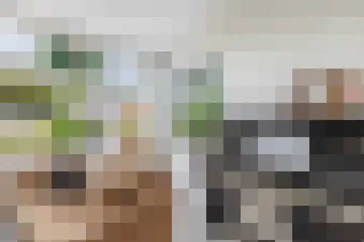 Sânpaed 3 Weidum thumbnail 11