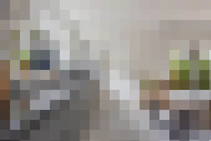 Sânpaed 3 Weidum thumbnail 15