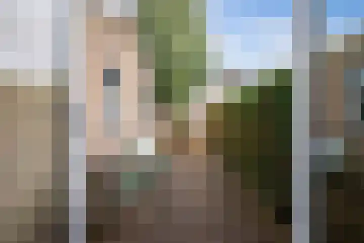 Sânpaed 3 Weidum thumbnail 19