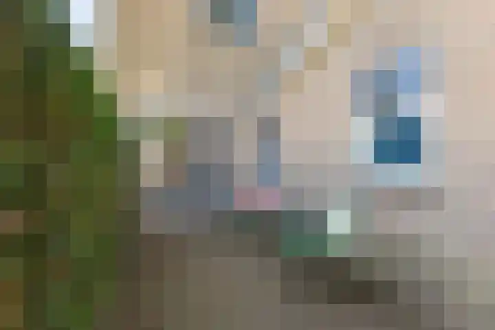 Sânpaed 3 Weidum thumbnail 20