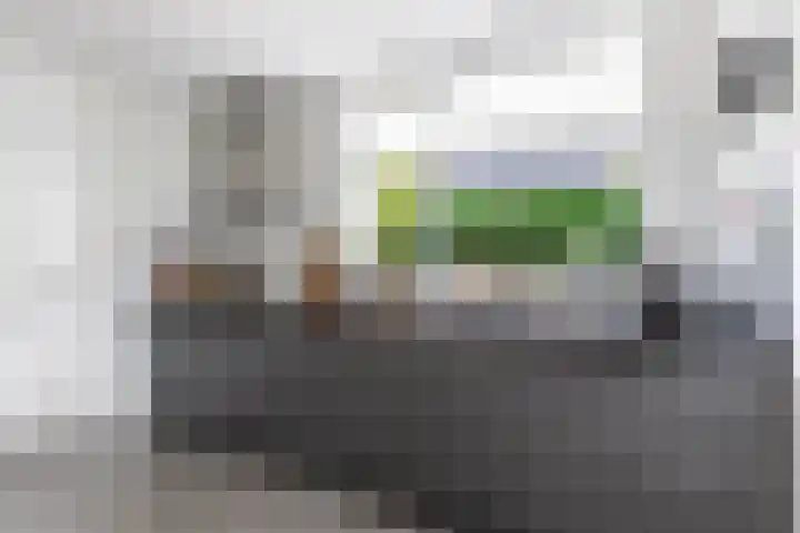 Sânpaed 3 Weidum thumbnail 22