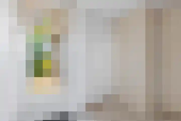 Sânpaed 3 Weidum thumbnail 24