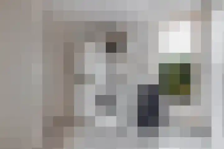 Sânpaed 3 Weidum thumbnail 25
