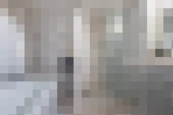 Sânpaed 3 Weidum thumbnail 26
