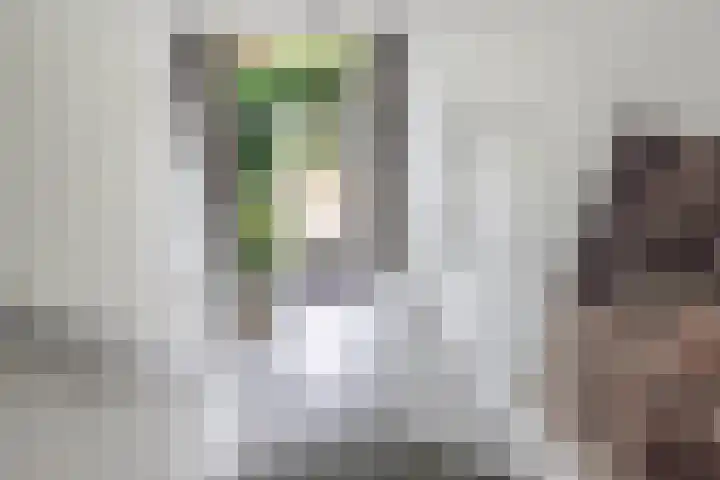 Sânpaed 3 Weidum thumbnail 28