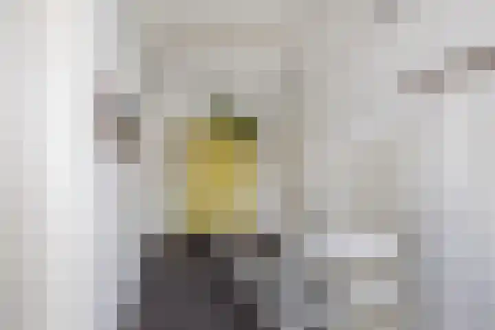 Sânpaed 3 Weidum thumbnail 29