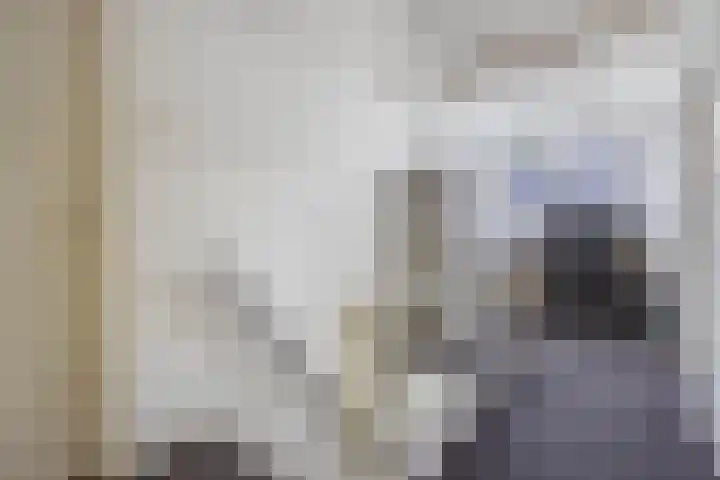 Sânpaed 3 Weidum thumbnail 33
