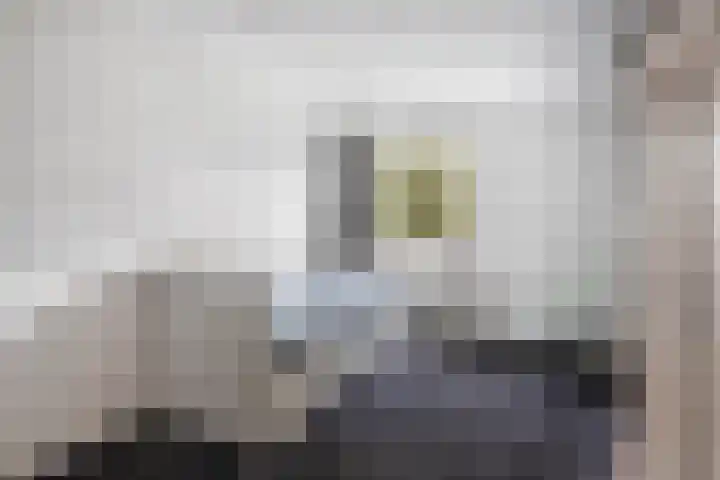 Sânpaed 3 Weidum thumbnail 38