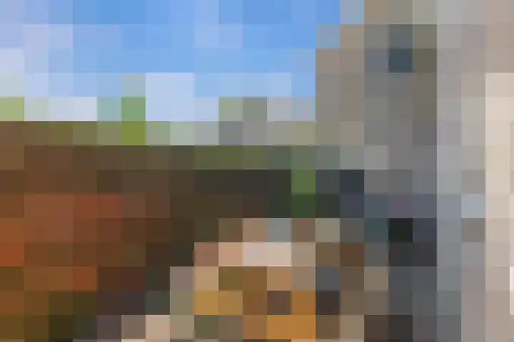 Sânpaed 3 Weidum thumbnail 4