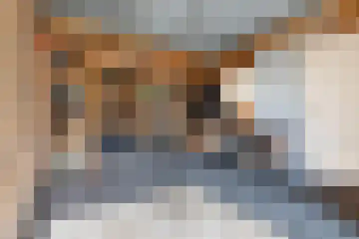Sânpaed 3 Weidum thumbnail 41