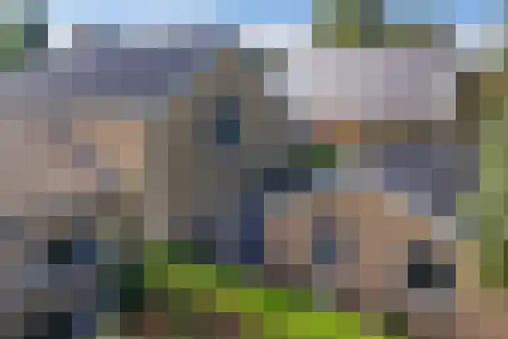 Sânpaed 3 Weidum thumbnail 44