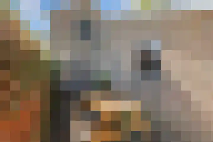Sânpaed 3 Weidum thumbnail 45