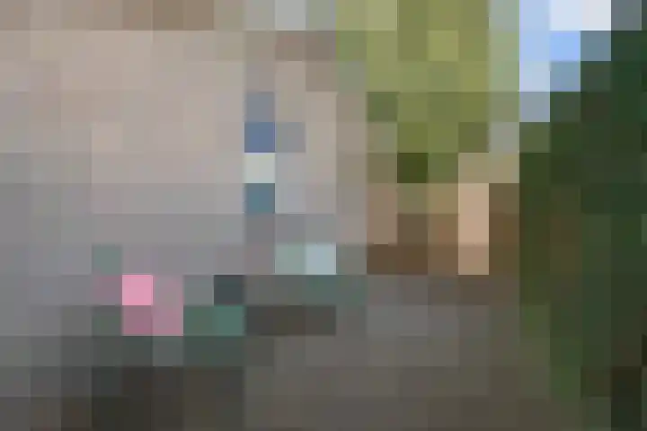 Sânpaed 3 Weidum thumbnail 47