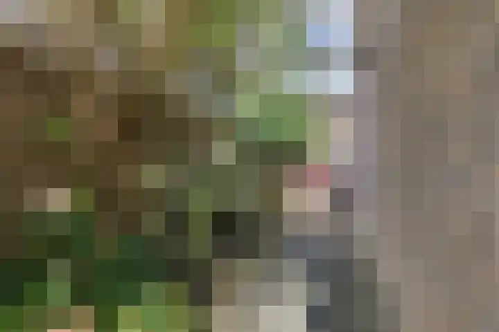 Sânpaed 3 Weidum thumbnail 48