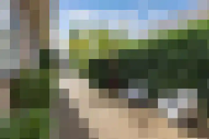 Sânpaed 3 Weidum thumbnail 49