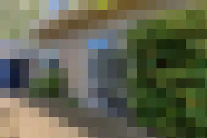 Sânpaed 3 Weidum thumbnail 5