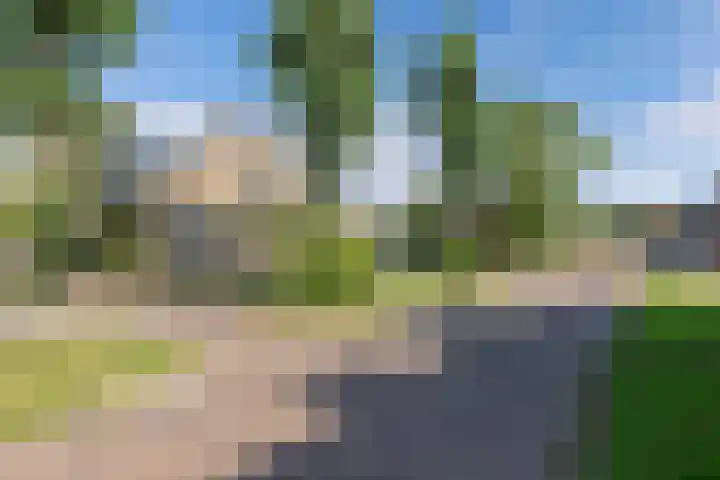 Sânpaed 3 Weidum thumbnail 52