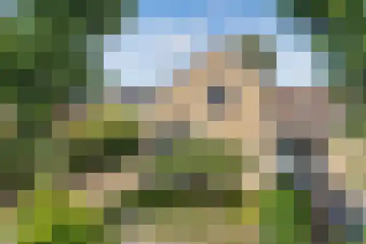 Sânpaed 3 Weidum thumbnail 54