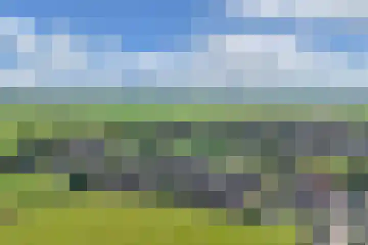 Sânpaed 3 Weidum thumbnail 56