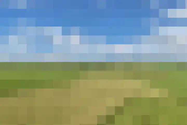 Sânpaed 3 Weidum thumbnail 57