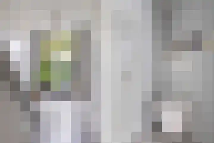 Sânpaed 3 Weidum thumbnail 6