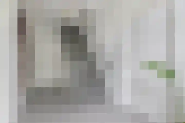 Sânpaed 3 Weidum thumbnail 7