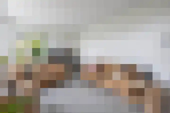 Sânpaed 3 Weidum thumbnail 9