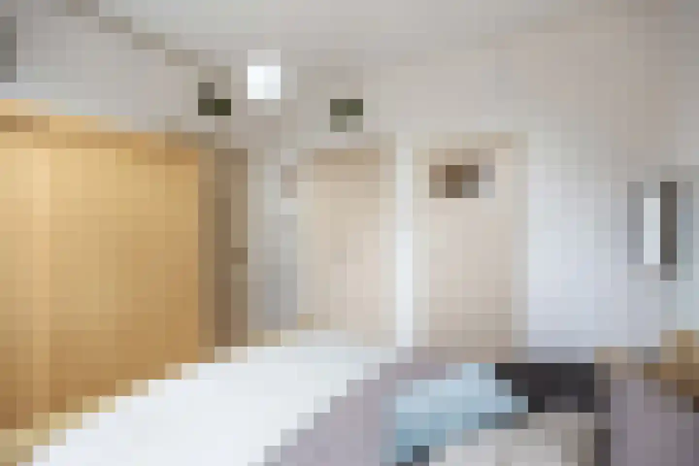 Sânpaed 31 Weidum thumbnail 17