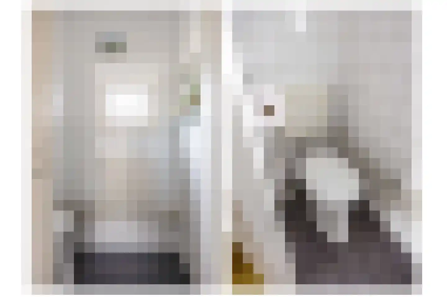 Sânpaed 31 Weidum thumbnail 20